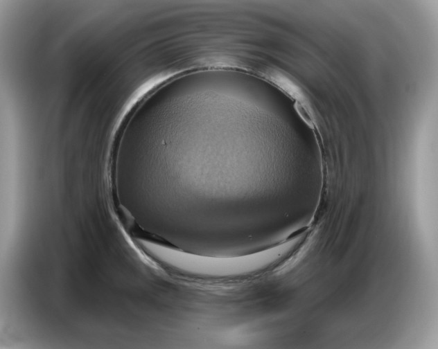 X0000086751141200704271705