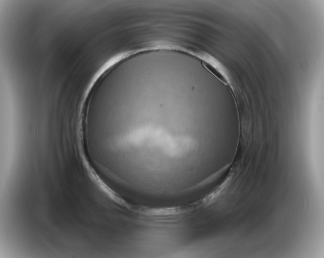 X0000086751142200704271705