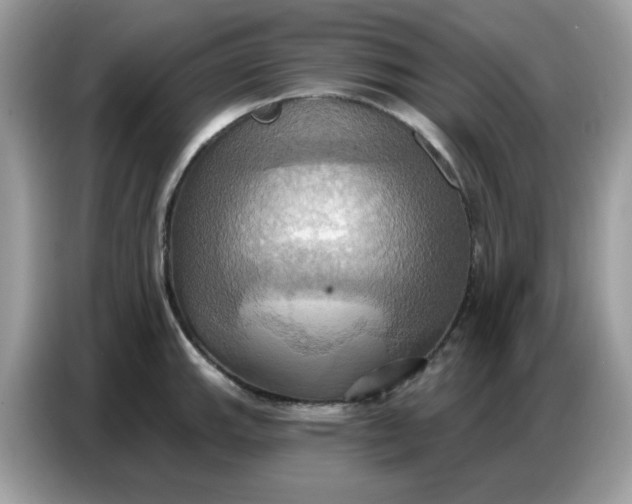 X0000086751143200704271705