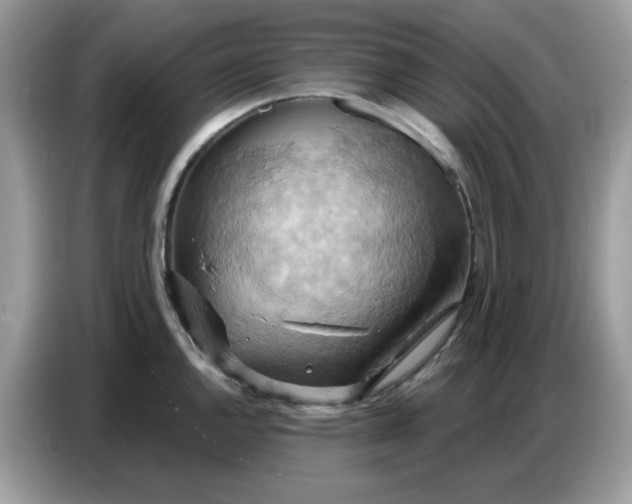 X0000086751144200704271705