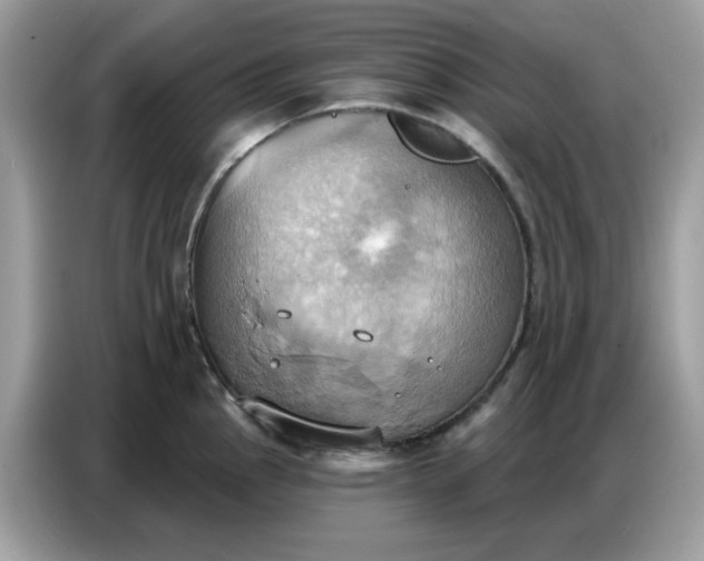 X0000086751145200704271705