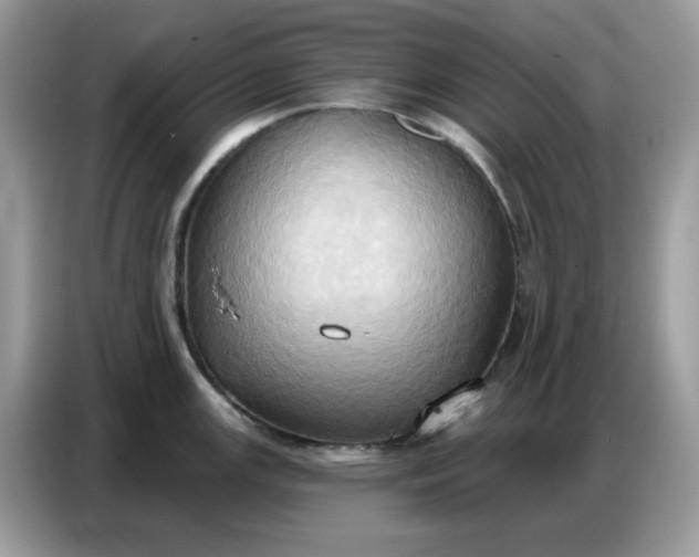 X0000086751147200704271705