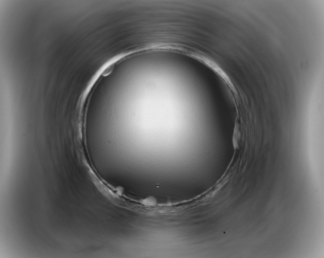 X0000086751148200704271705