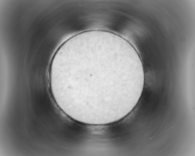 X0000086751150200704271705