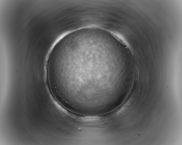 X0000086751151200704271705