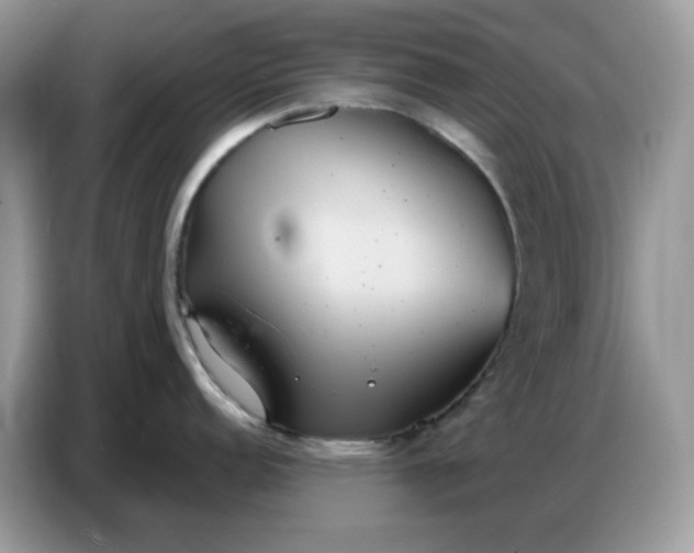 X0000086751152200704271705