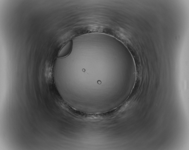 X0000086751154200704271704