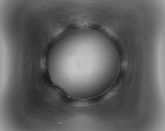 X0000086751156200704271704