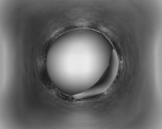 X0000086751157200704271704