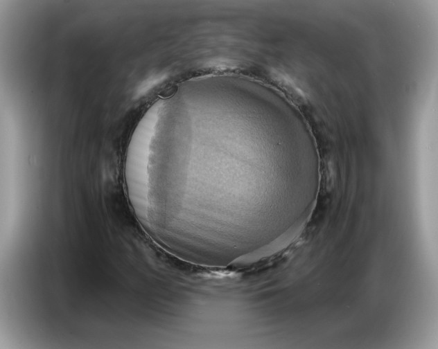 X0000086751158200704271704