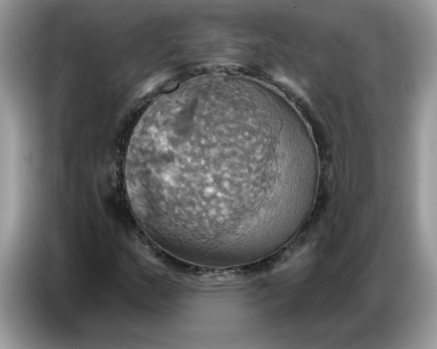 X0000086751159200704271704