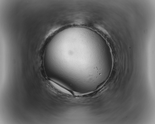 X0000086751160200704271704