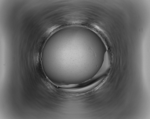 X0000086751161200704271704