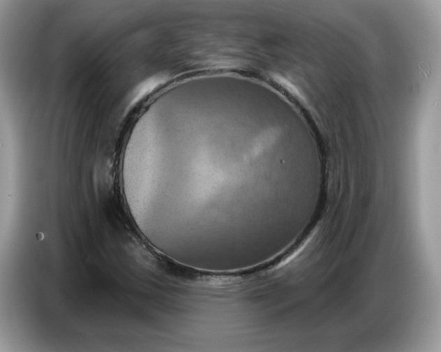 X0000086751163200704271704