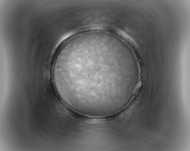 X0000086751166200704271704