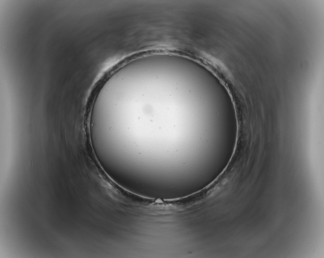 X0000086751168200704271704