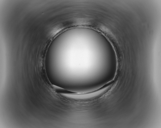 X0000086751169200704271704