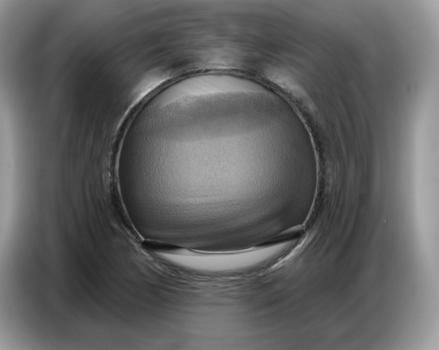 X0000086751170200704271704