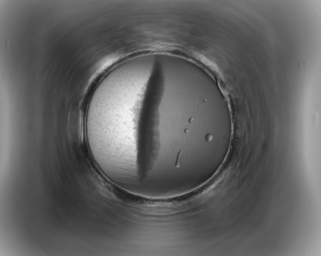 X0000086751171200704271704