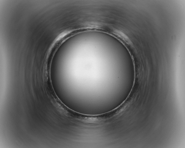 X0000086751172200704271704