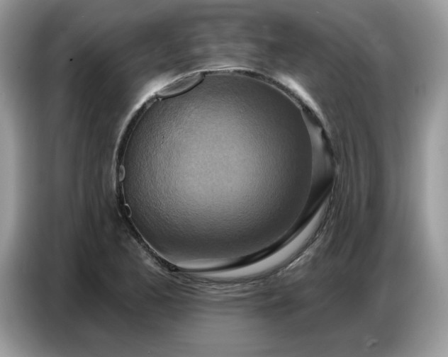 X0000086751173200704271704