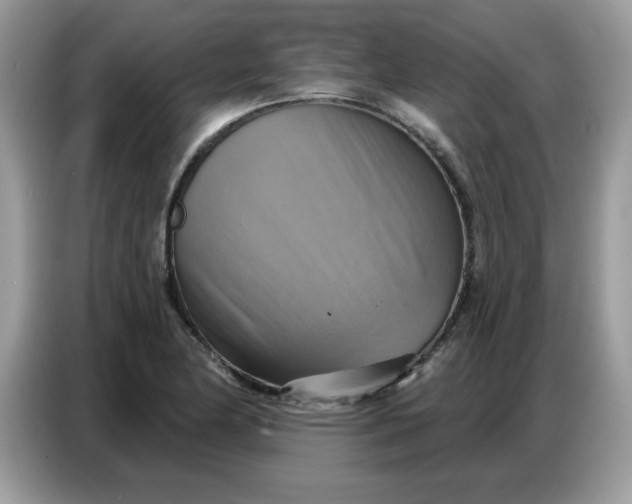 X0000086751174200704271704