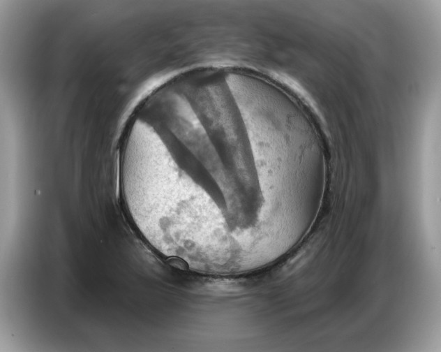 X0000086751175200704271704