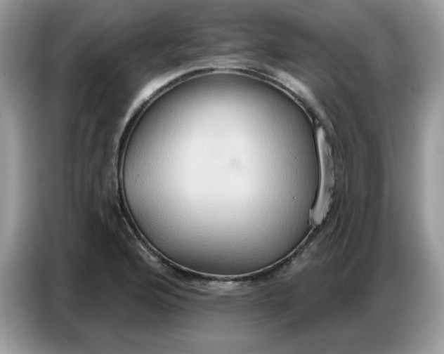 X0000086751176200704271704