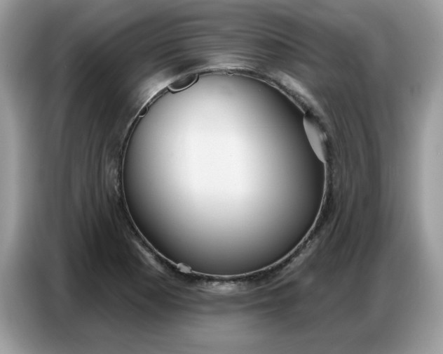 X0000086751177200704271704