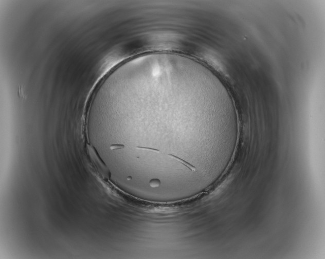 X0000086751178200704271704