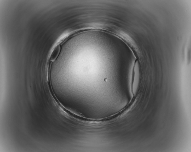 X0000086751180200704271704