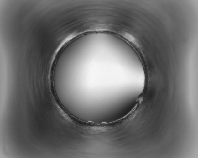 X0000086751181200704271704