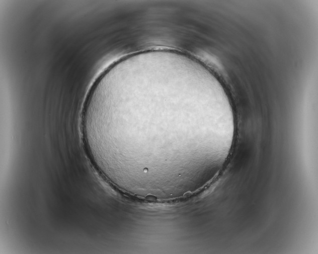 X0000086751182200704271704