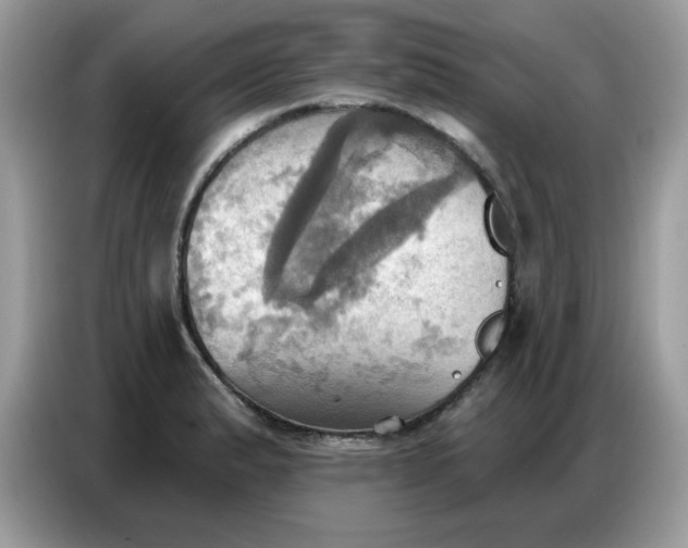 X0000086751183200704271704