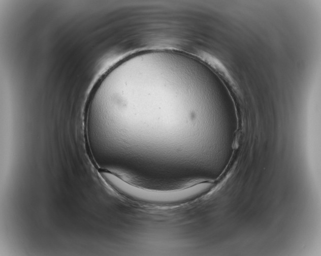 X0000086751184200704271704