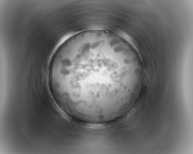 X0000086751187200704271704