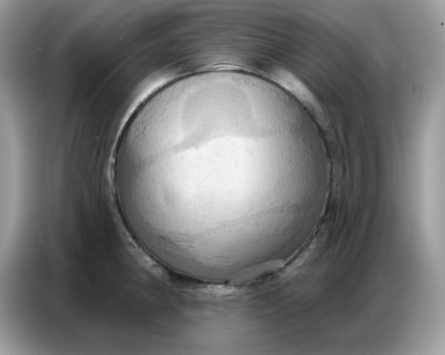 X0000086751190200704271704