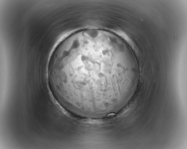 X0000086751191200704271704