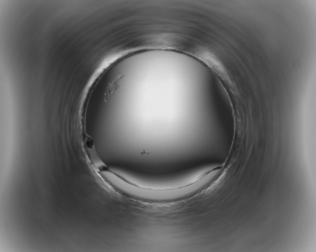 X0000086751192200704271704