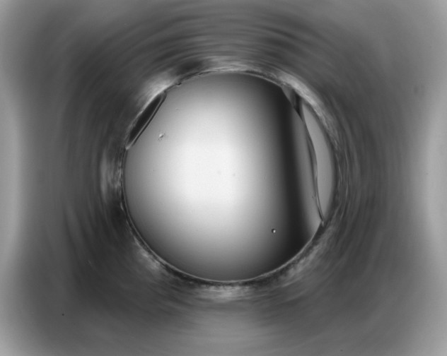 X0000086751193200704271704