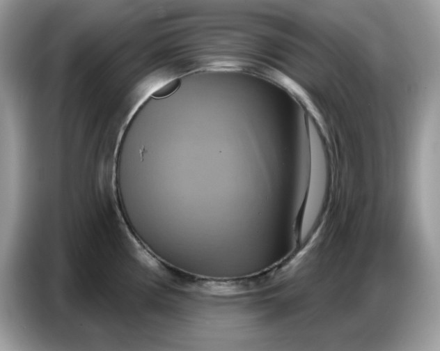 X0000086751194200704271704