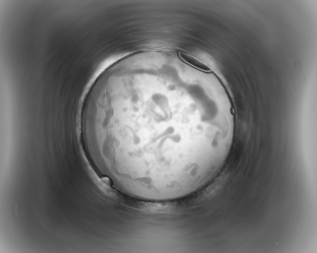 X0000086751195200704271704