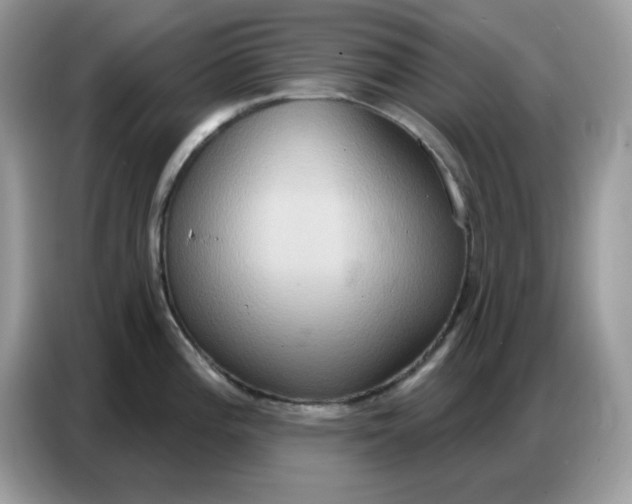 X0000086751196200704271704