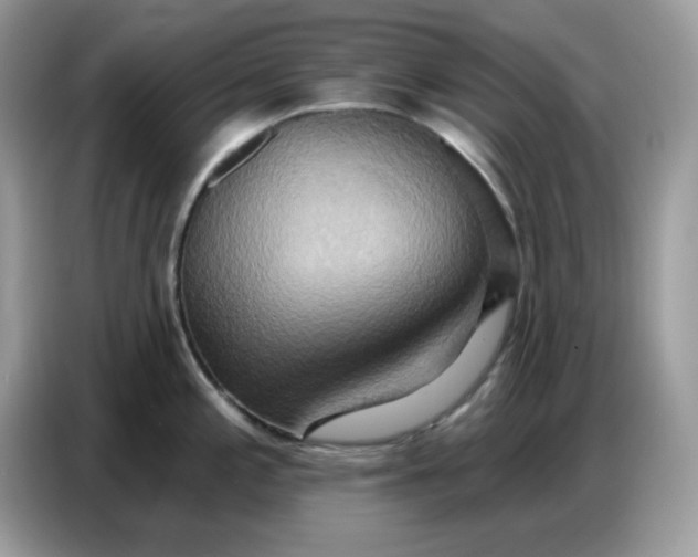 X0000086751197200704271704