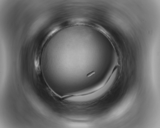 X0000086751198200704271704