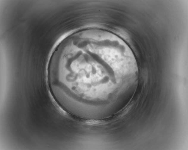 X0000086751199200704271704