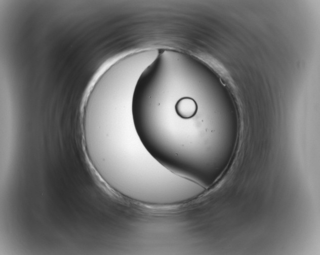 X0000086751200200704271704