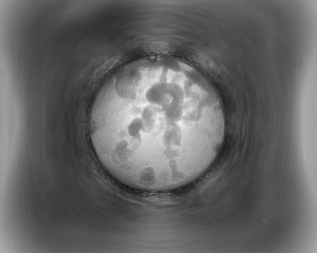 X0000086751201200704271703