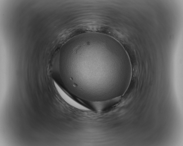 X0000086751202200704271703