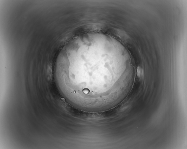 X0000086751203200704271703